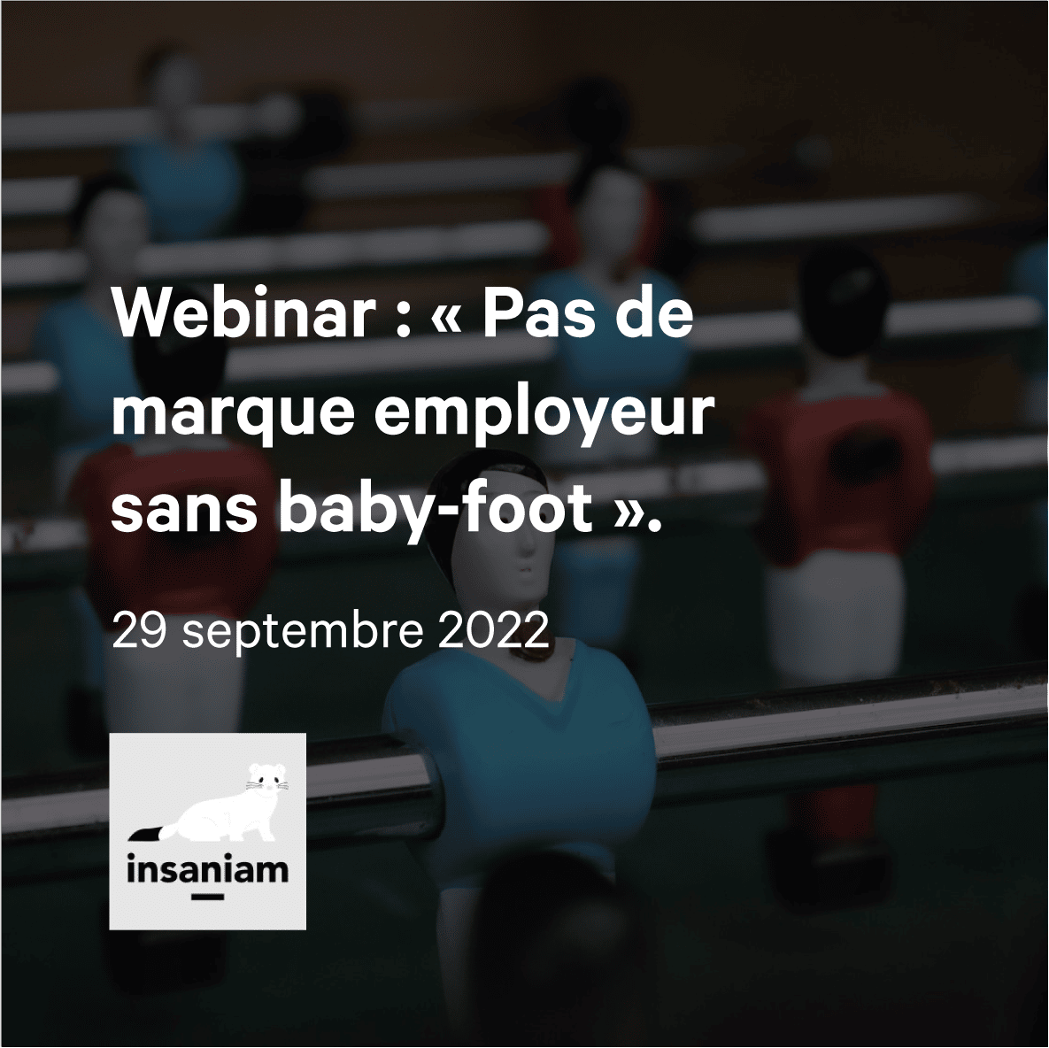 Insaniam Webinar babyfoot